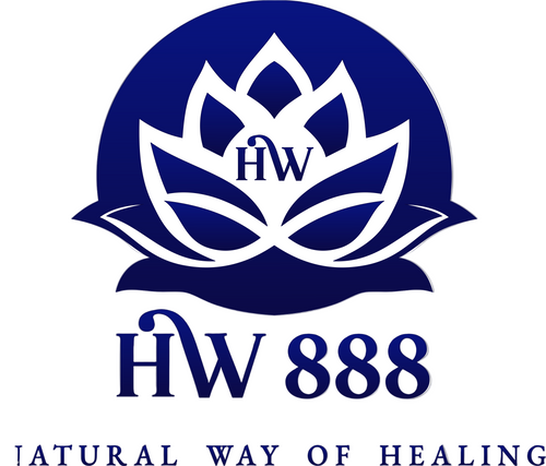 Holistic World 888 logo