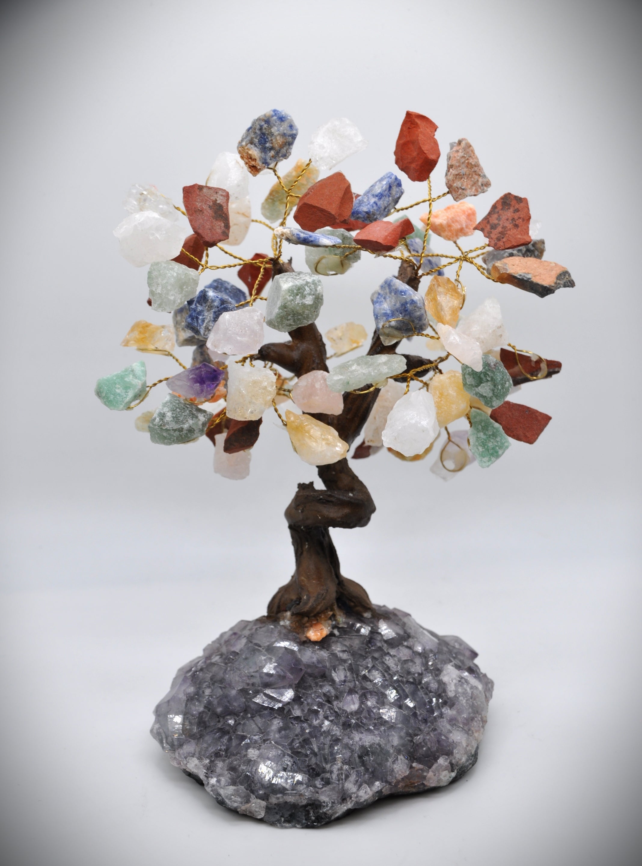 Mix Raw Bonsai Tree 7"