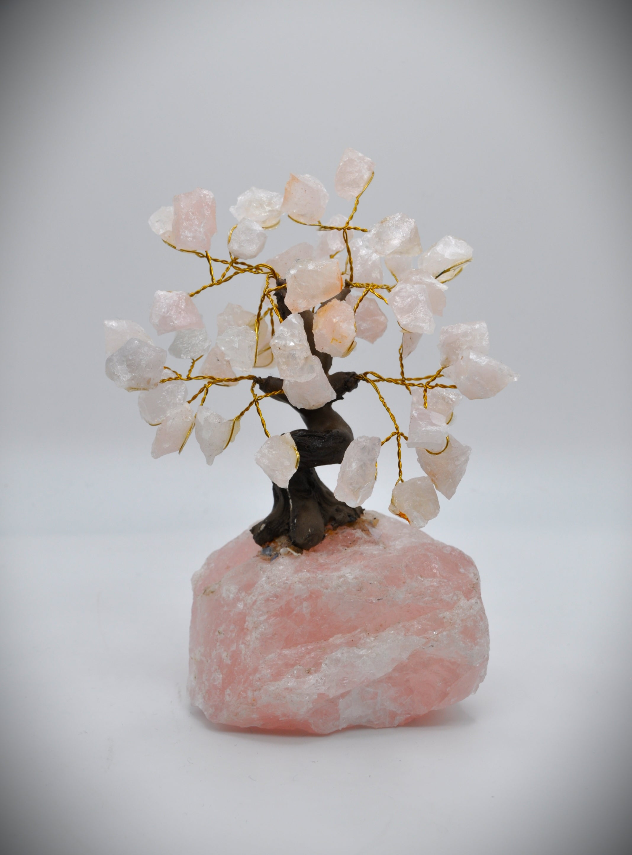 Rose Quartz Raw Bonsai 7"